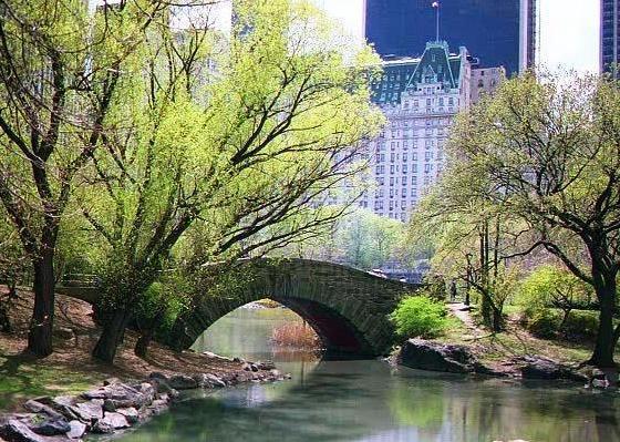 Comfort Inn Chelsea New York Kültér fotó